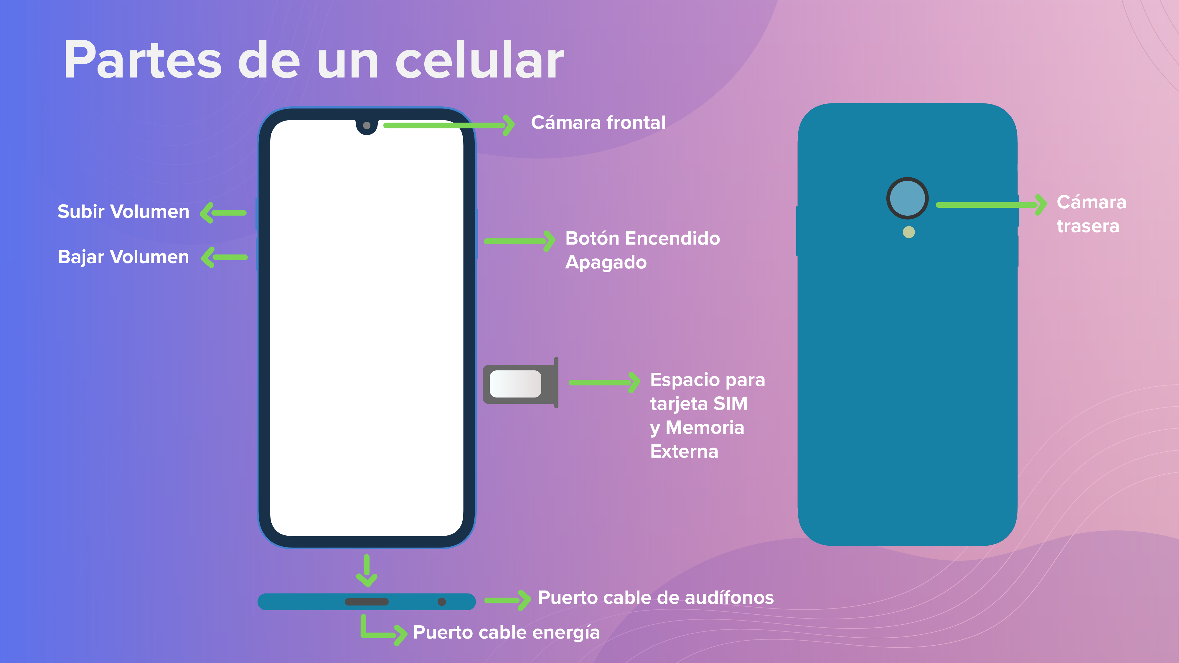 Partes y botones externos de un celular